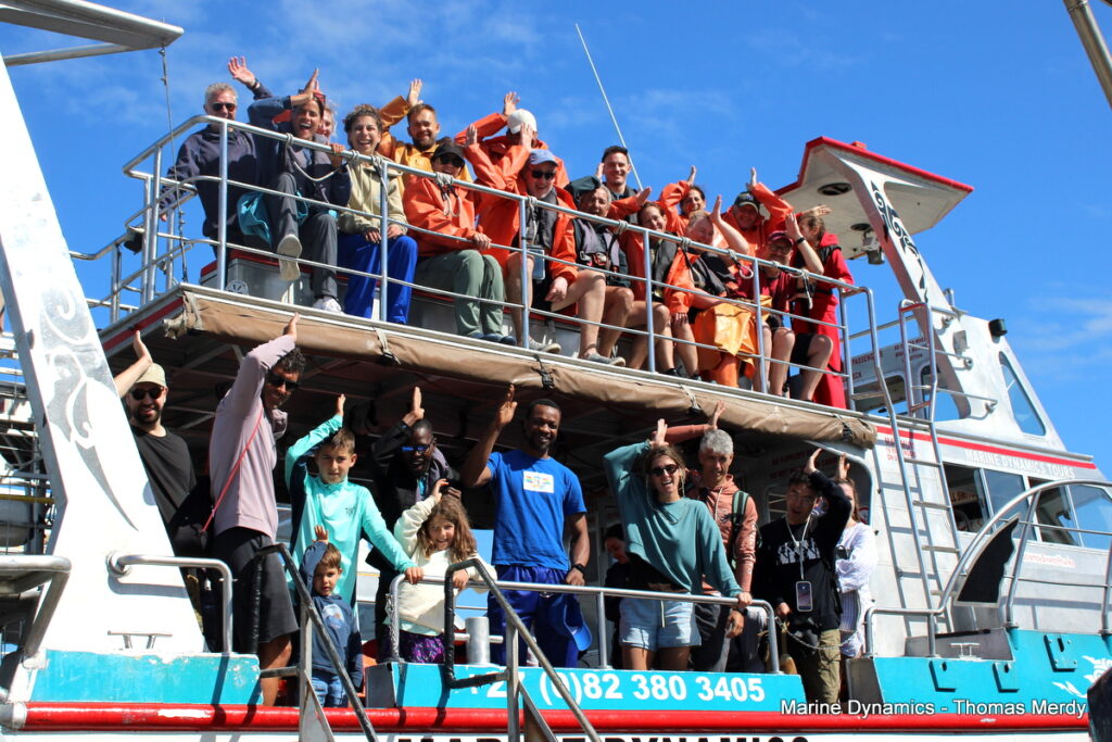 South Africa, Gansbaai, Shark cage diving