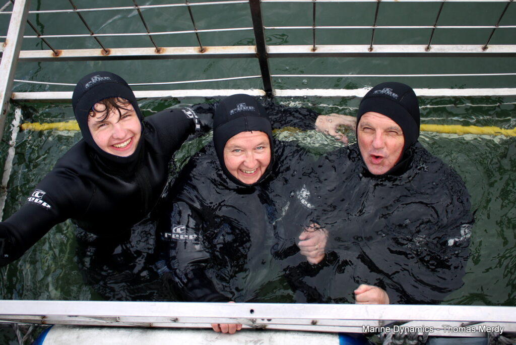 Shark cage diving, South Africa, Gansbaai