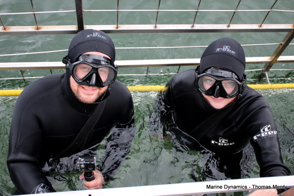 Shark cage diving, South Africa, Gansbaai