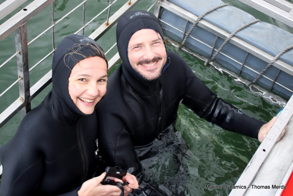 Shark cage diving, South Africa, Gansbaai