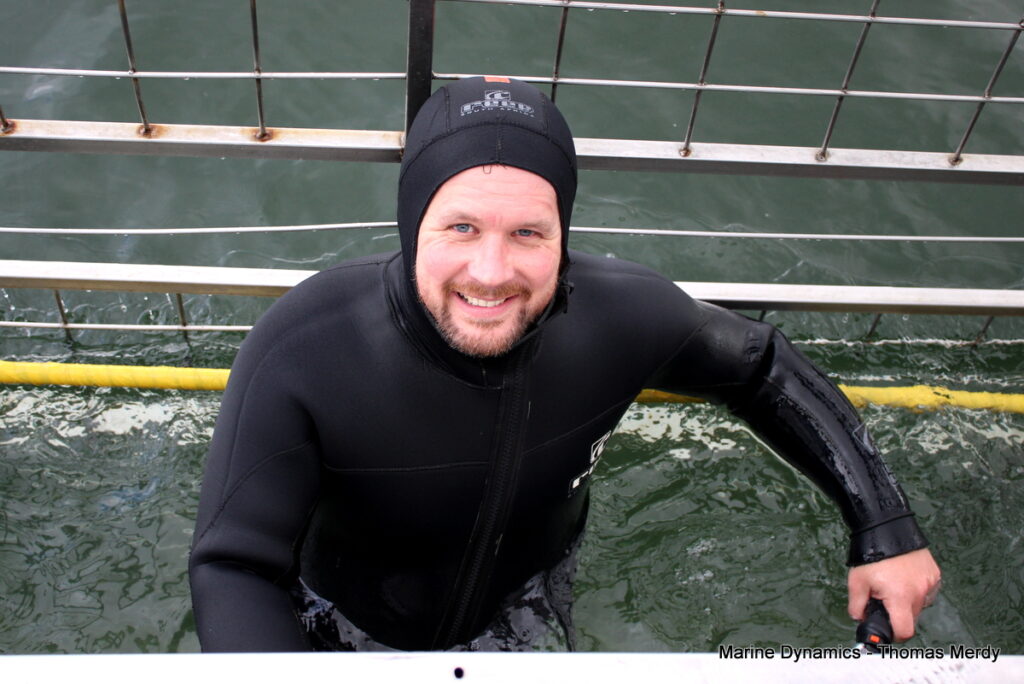 Shark cage diving, South Africa, Gansbaai