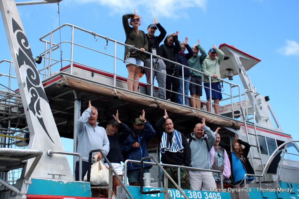 Shark cage diving, South Africa, Gansbaai
