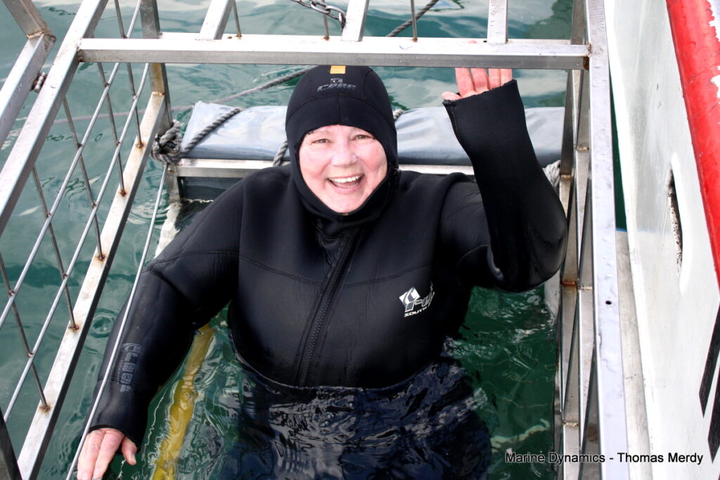 Shark cage diving, South Africa, Gansbaai
