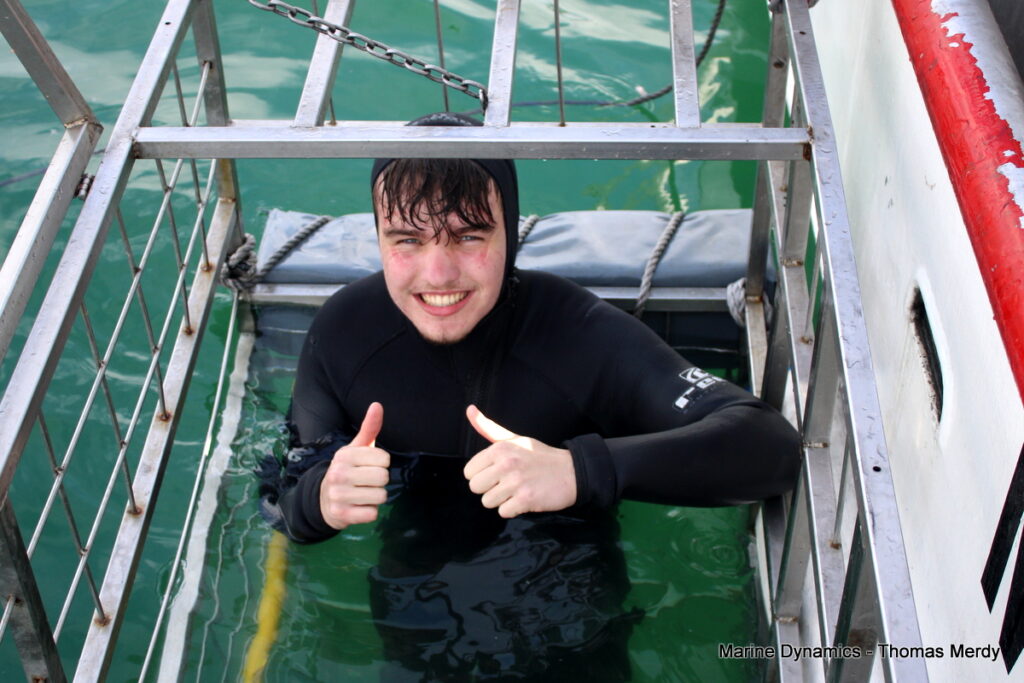 Shark cage diving, South Africa, Gansbaai