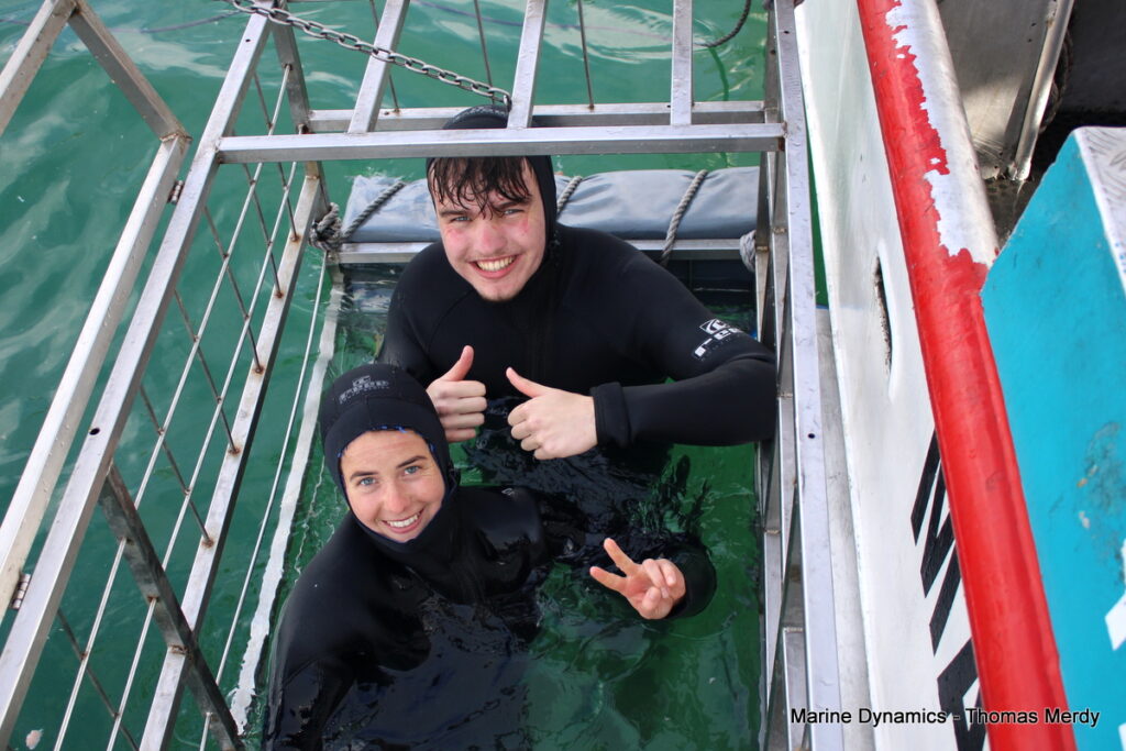 Shark cage diving, South Africa, Gansbaai