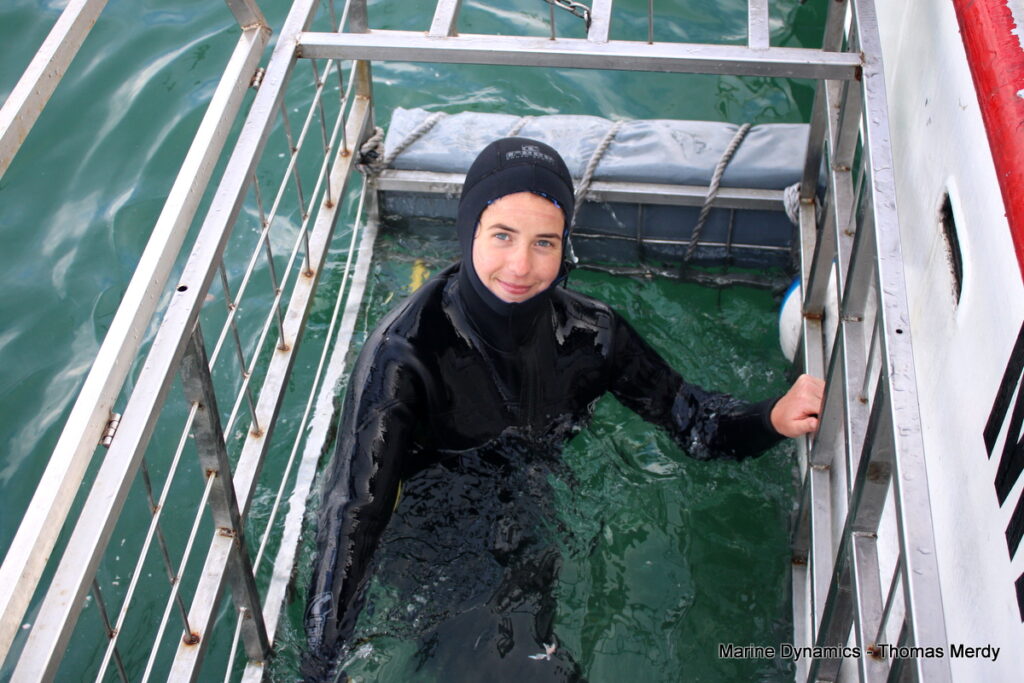 Shark cage diving, South Africa, Gansbaai