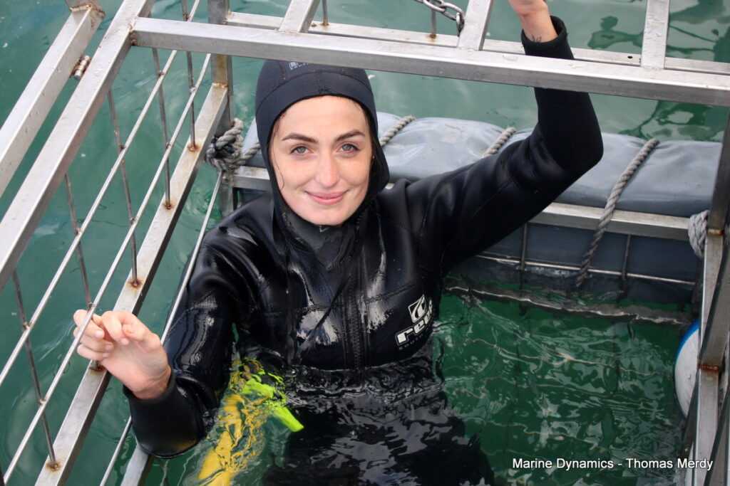 Shark cage diving, South Africa, Gansbaai