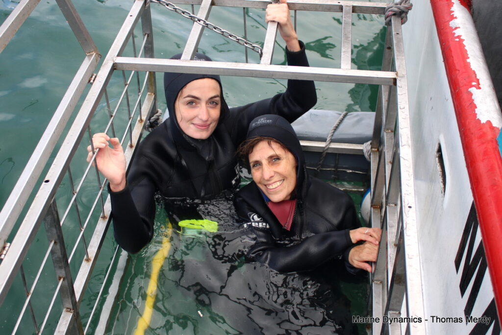 Shark cage diving, South Africa, Gansbaai