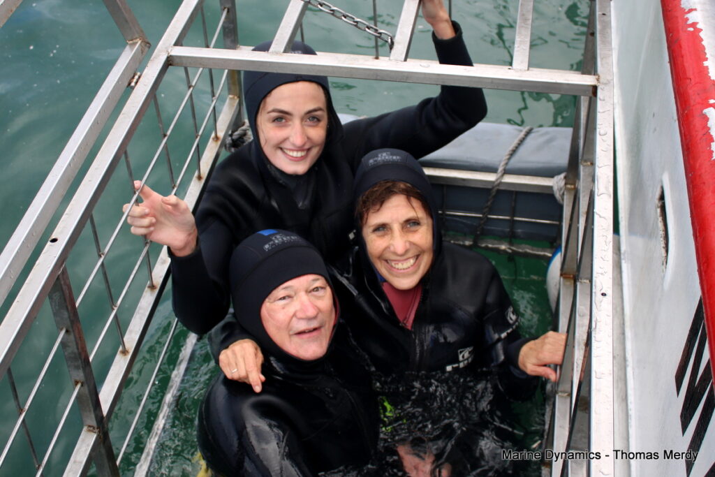 Shark cage diving, South Africa, Gansbaai
