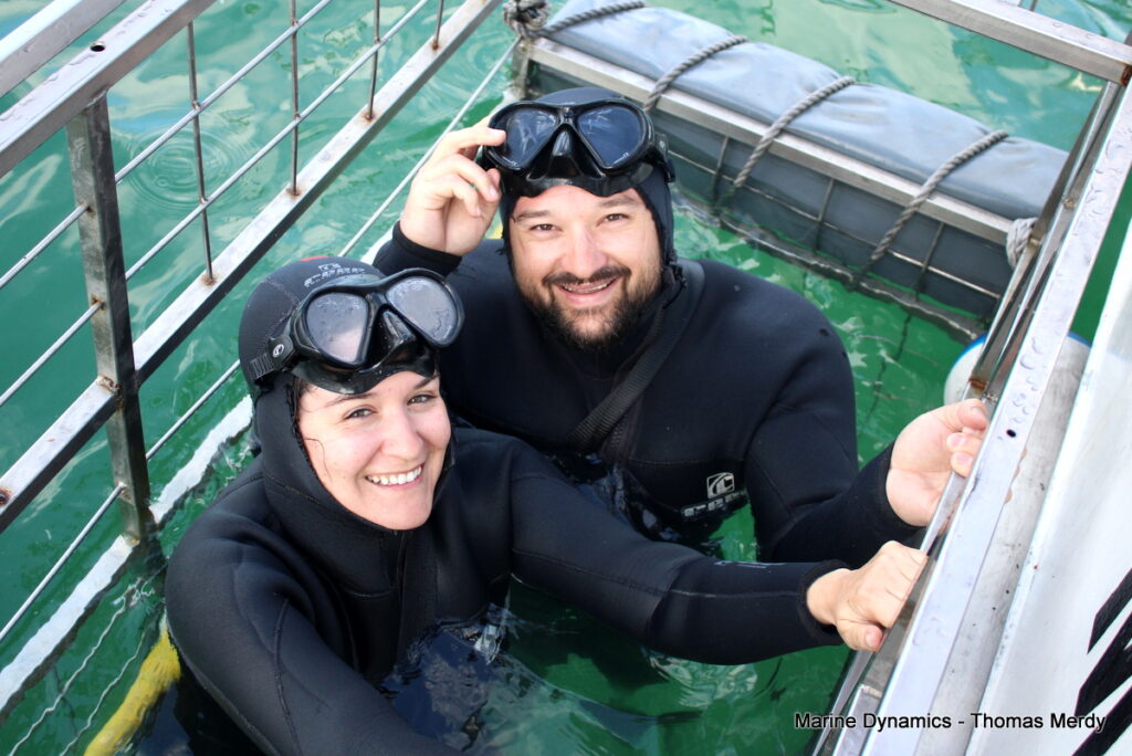 Shark cage diving, South Africa, Gansbaai