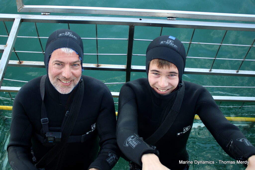 Shark cage diving, South Africa, Gansbaai