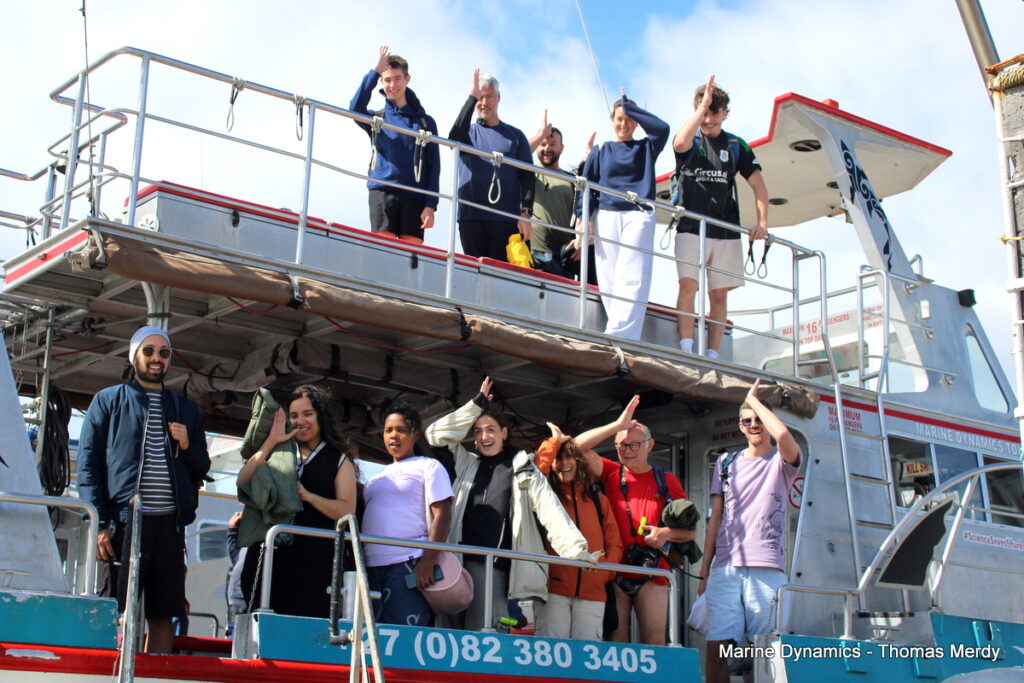 Shark cage diving, South Africa, Gansbaai