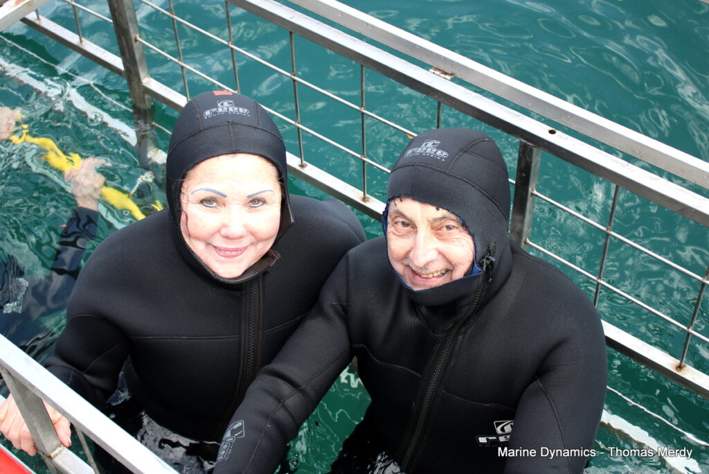 South Africa, Shark cage diving, Gansbaai