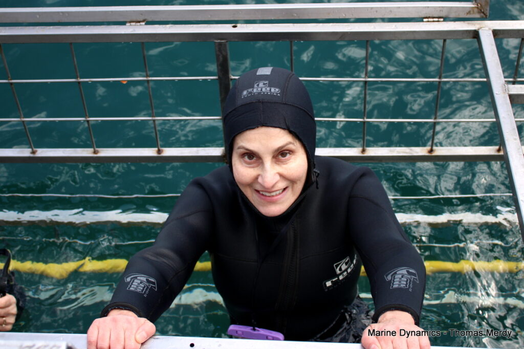 South Africa, Shark cage diving, Gansbaai