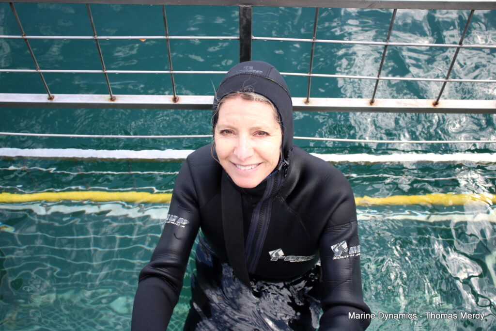 South Africa, Shark cage diving, Gansbaai