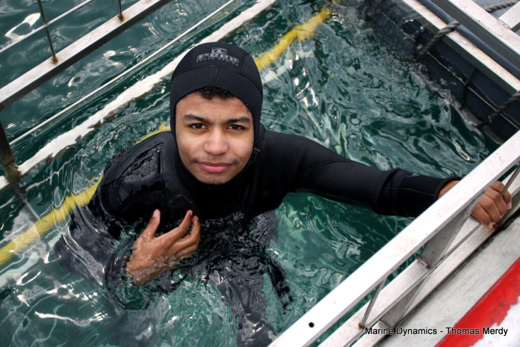 South Africa, Shark cage diving, Gansbaai