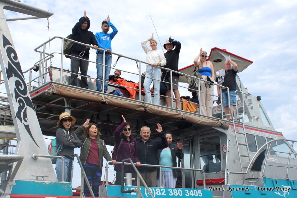 South Africa, Shark cage diving, Gansbaai