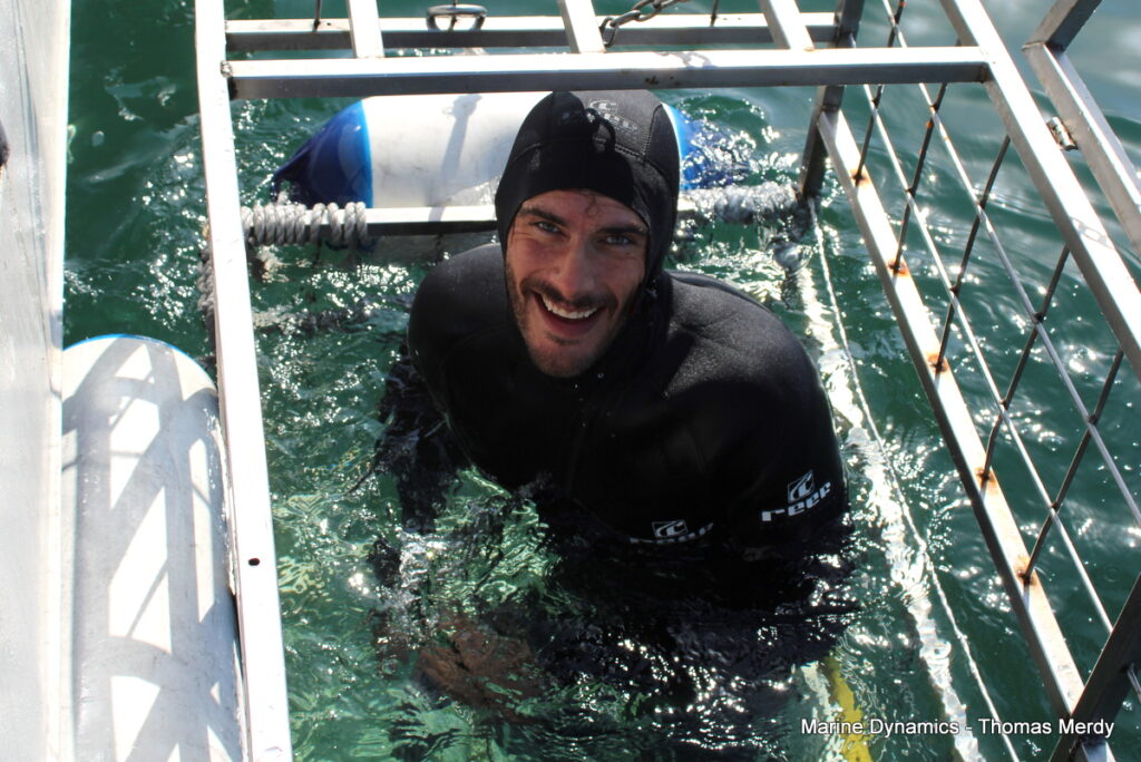 Shark cage diving, South Africa, Gansbaai