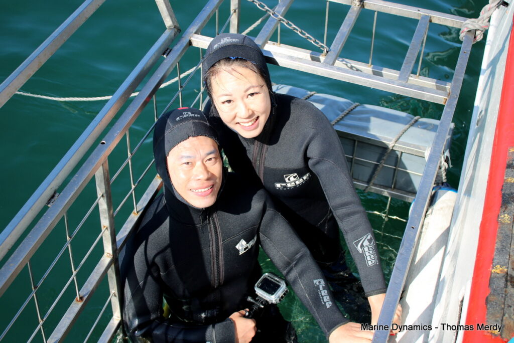 Shark cage diving, South Africa, Gansbaai