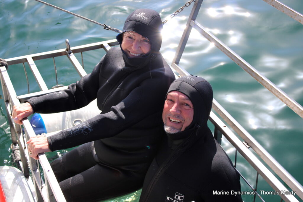 Shark cage diving, South Africa, Gansbaai