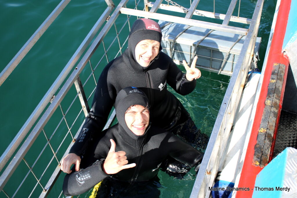 Shark cage diving, South Africa, Gansbaai
