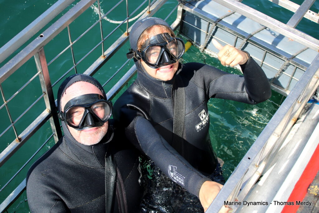 Shark cage diving, South Africa, Gansbaai