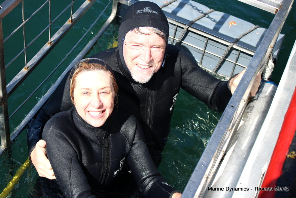 Shark cage diving, South Africa, Gansbaai
