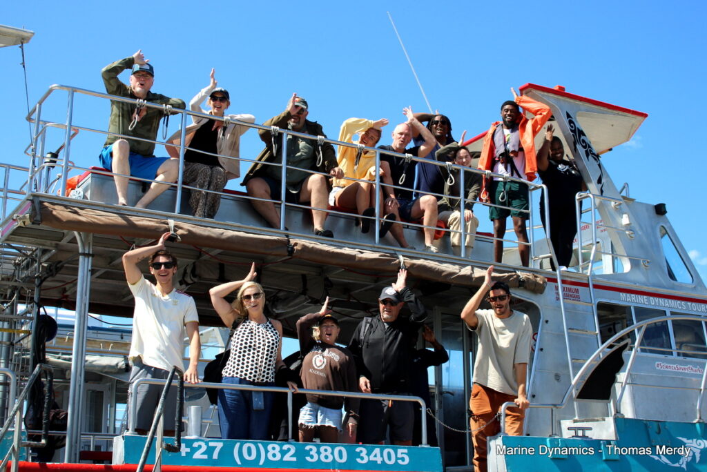 Shark cage diving, South Africa, Gansbaai