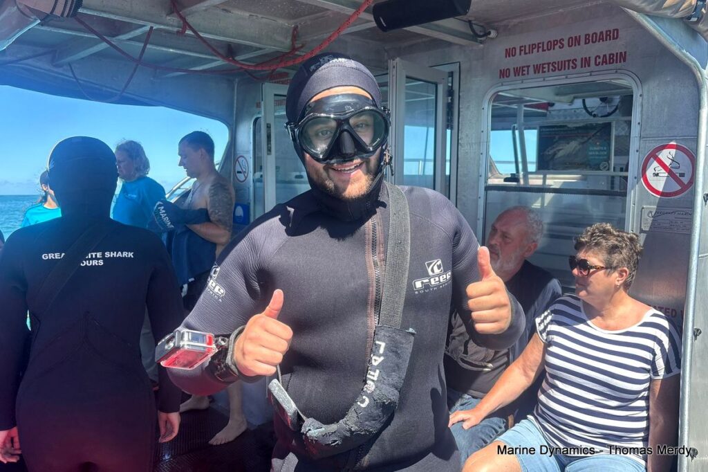Shark cage diving, South Africa, Gansbaai