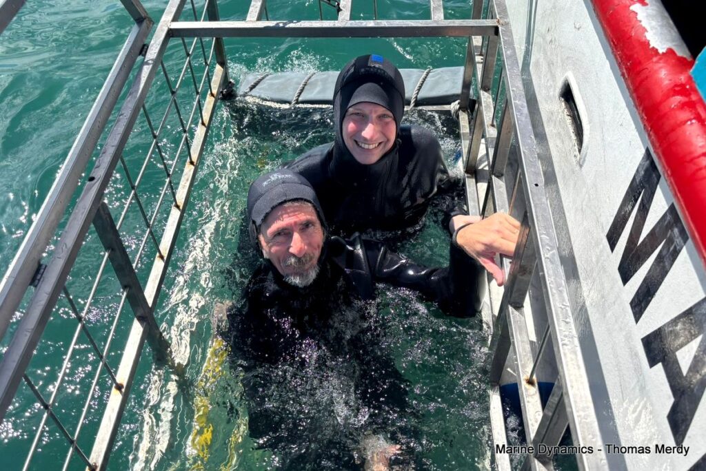 Shark cage diving, South Africa, Gansbaai