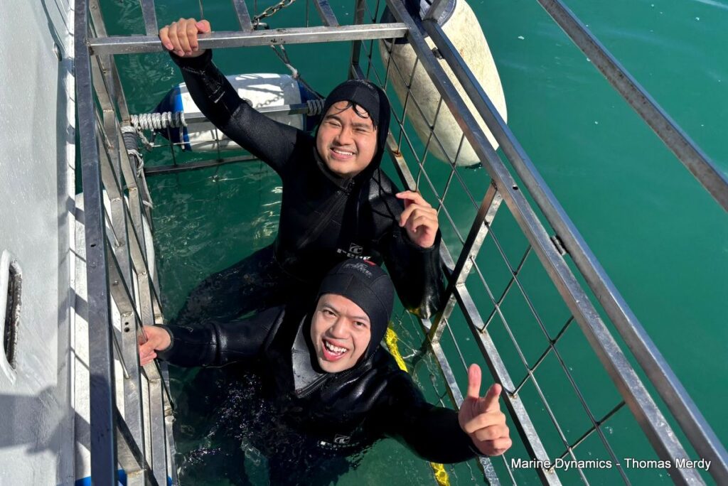 Shark cage diving, South Africa, Gansbaai