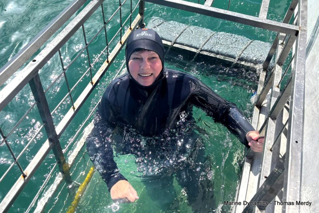 Shark cage diving, South Africa, Gansbaai