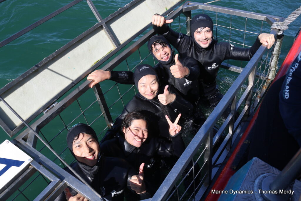 Shark cage diving, Gansbaai, South Africa