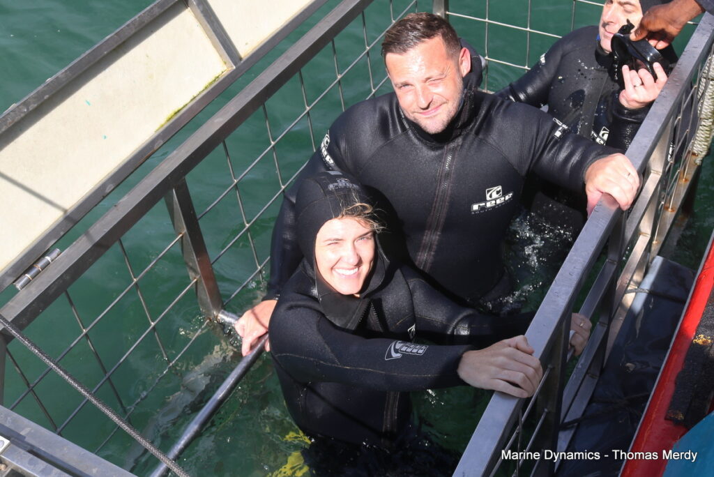 Shark cage diving, Gansbaai, South Africa