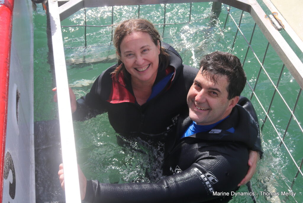 Shark cage diving, Gansbaai, South Africa