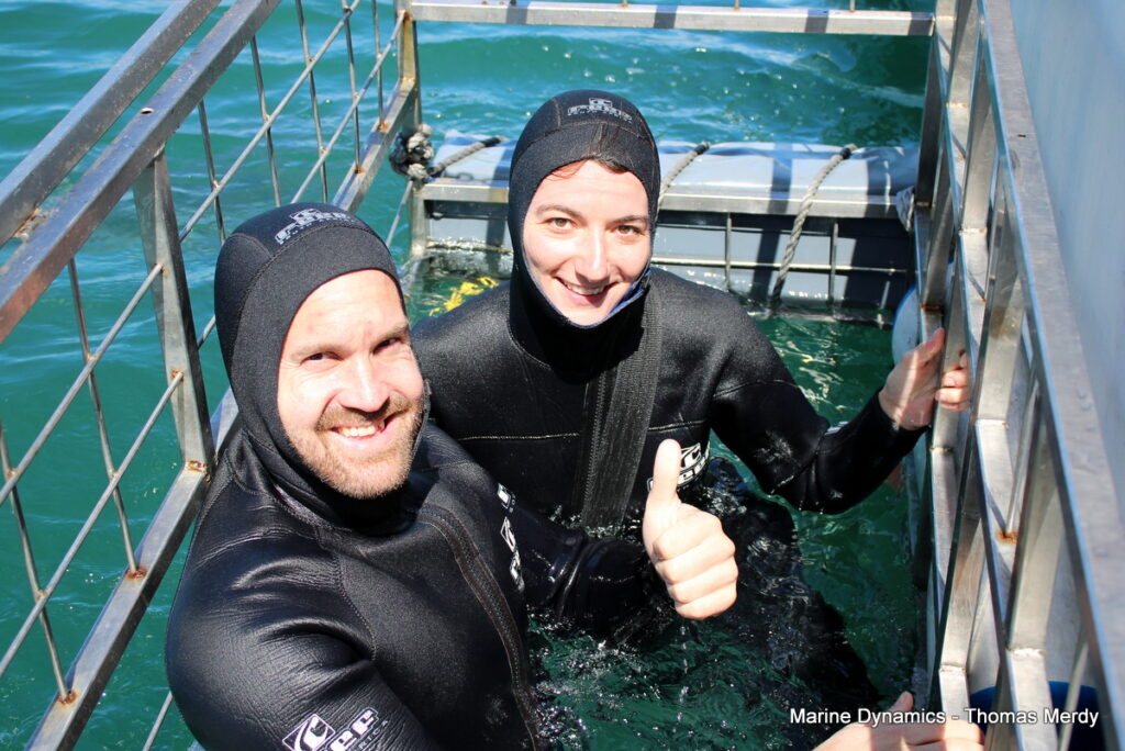 Shark cage diving, South Africa, Gansbaai