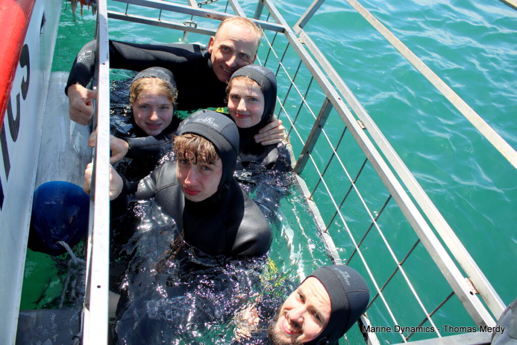 Shark cage diving, South Africa, Gansbaai