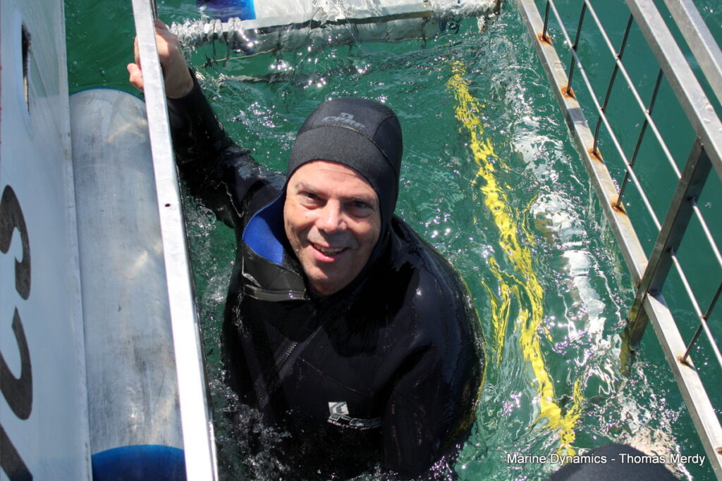 Shark cage diving, South Africa, Gansbaai