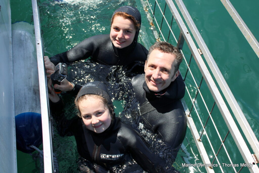 Shark cage diving, South Africa, Gansbaai