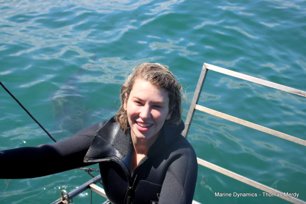 Shark cage diving, South Africa, Gansbaai