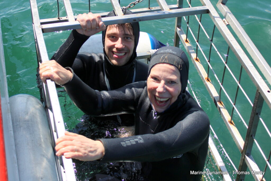 Shark cage diving, South Africa, Gansbaai