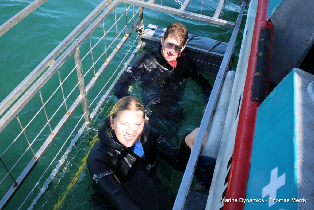 Shark cage diving, South Africa, Gansbaai