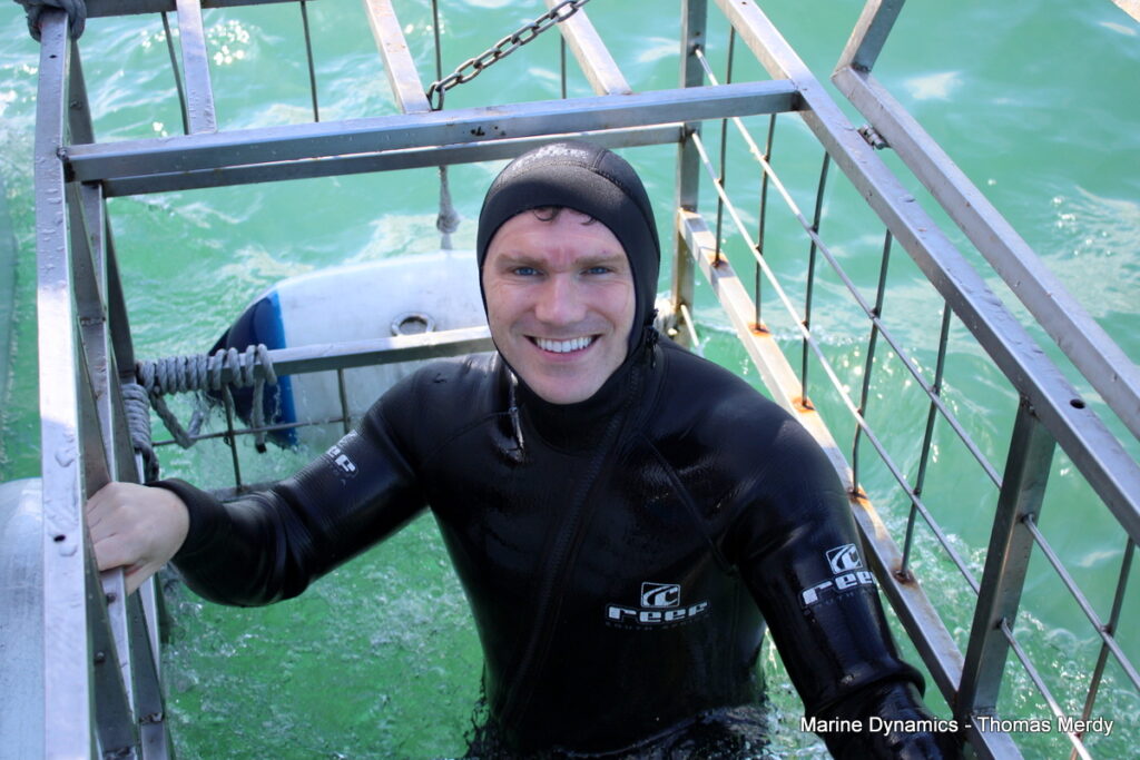 Shark cage diving, South Africa, Gansbaai