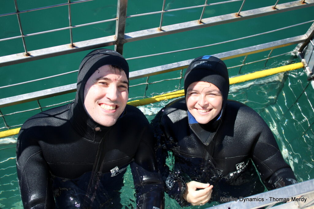 Shark cage diving, South Africa, Gansbaai