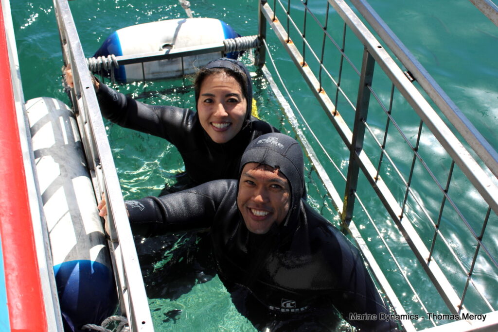 Shark cage diving, South Africa, Gansbaai