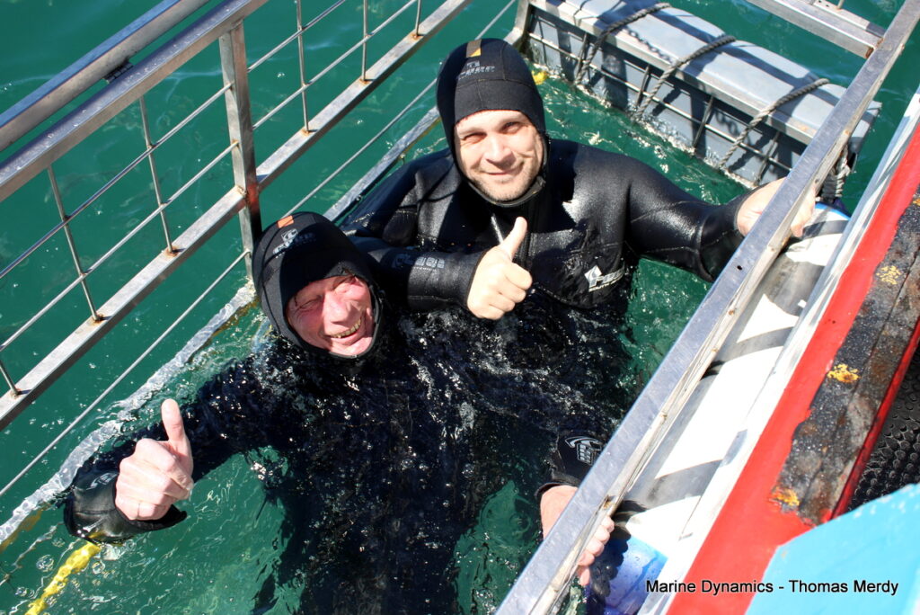 Shark cage diving, South Africa, Gansbaai
