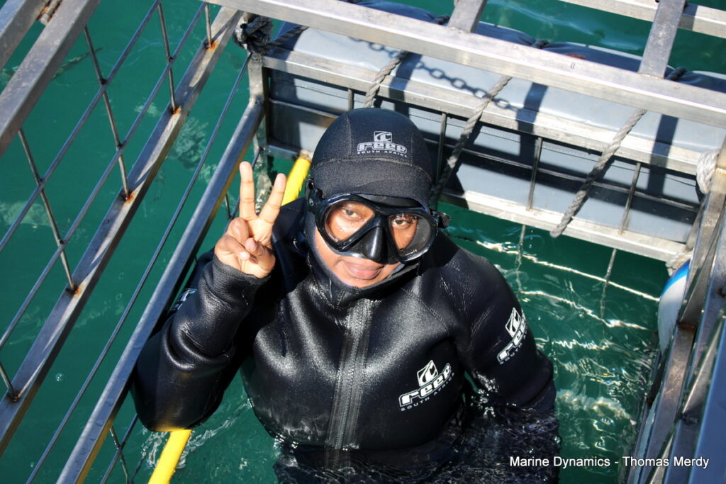 Shark cage diving, South Africa, Gansbaai