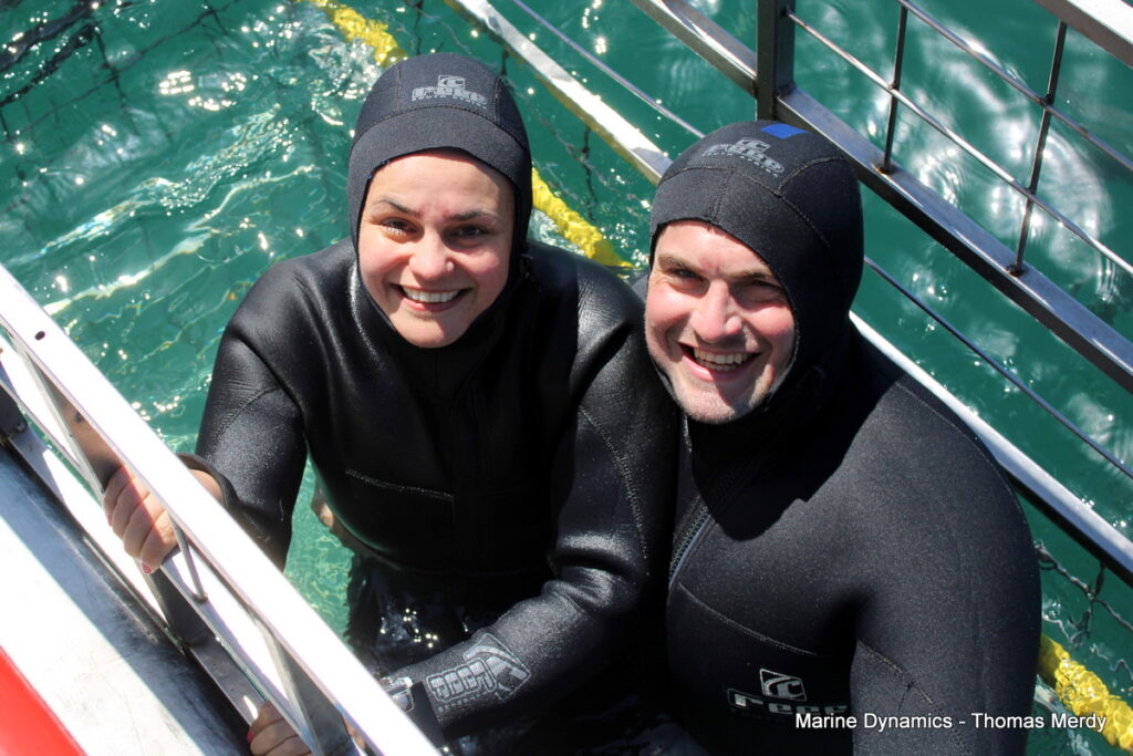 Shark cage diving, South Africa, Gansbaai