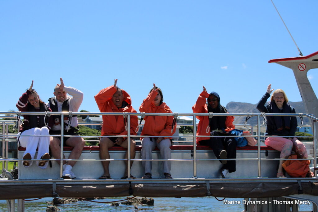 Shark cage diving, South Africa, Gansbaai