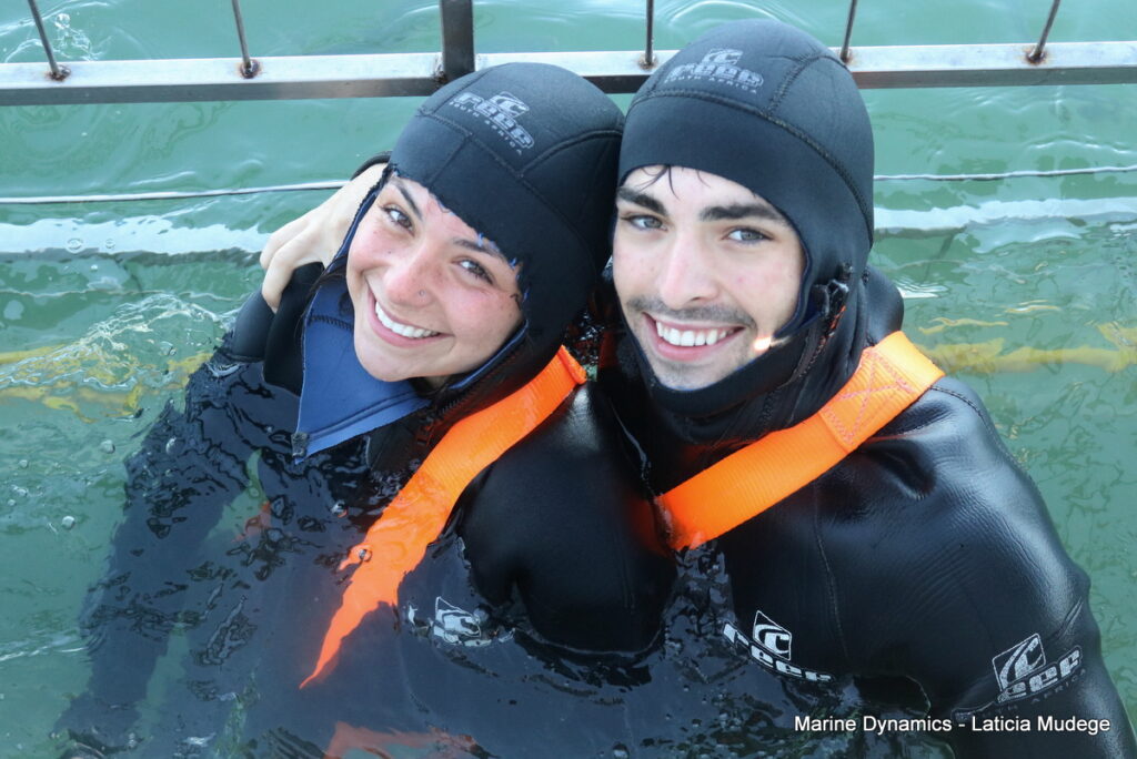 Shark cage diving, Gansbaai, South Africa